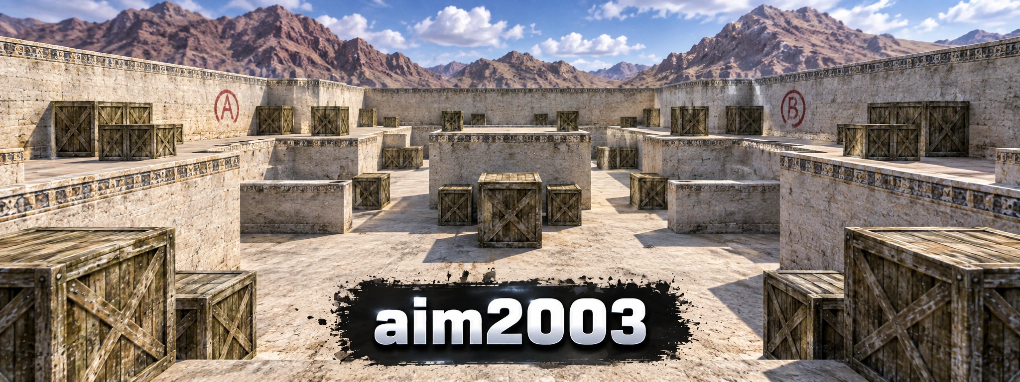 aim2003